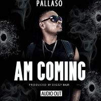 Am coming - Pallaso