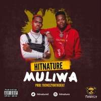 Muliwa - The Hit Nature
