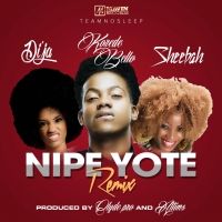 Nipe Yote (Remix) - Sheebah ft. Dija, Korede Bello